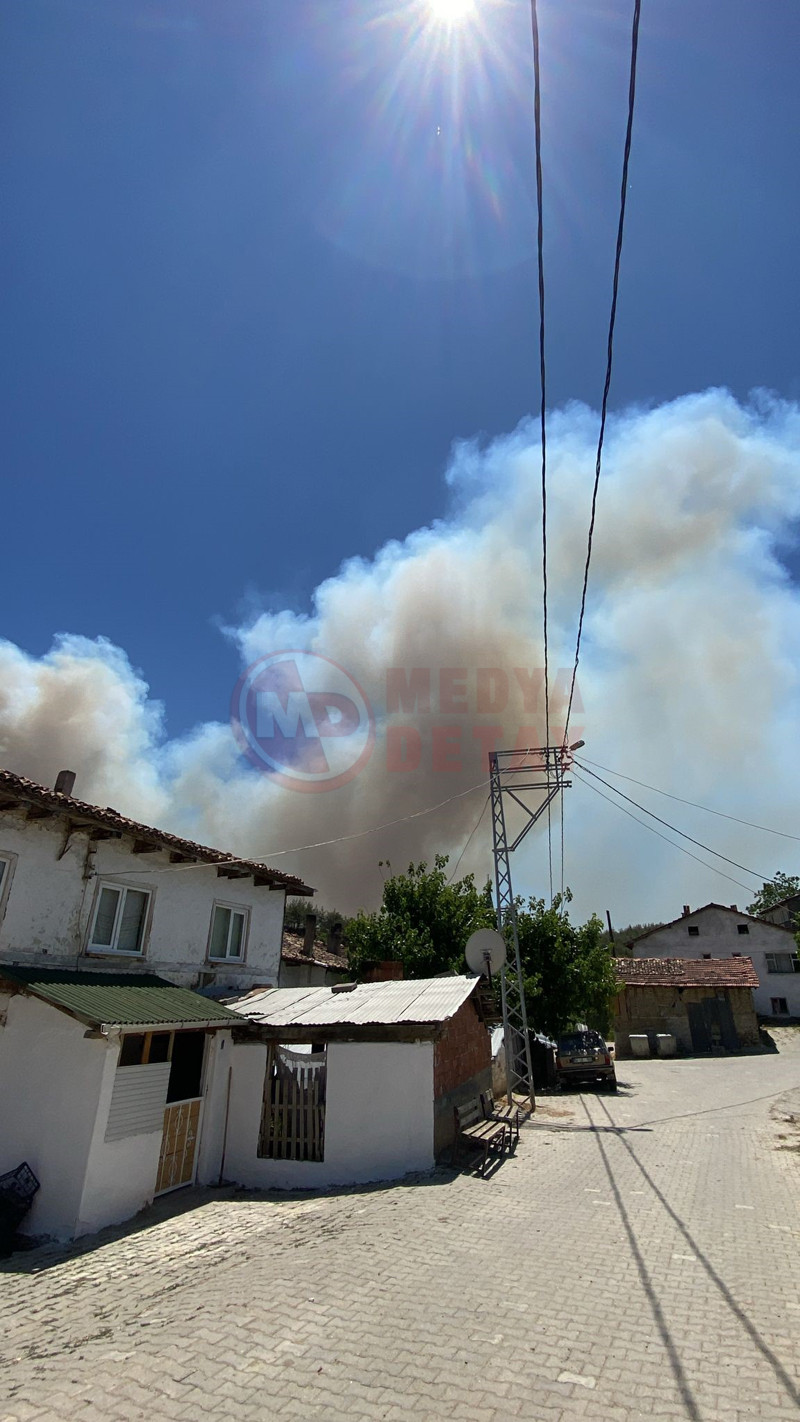 Tarakli Orman Yanginii8