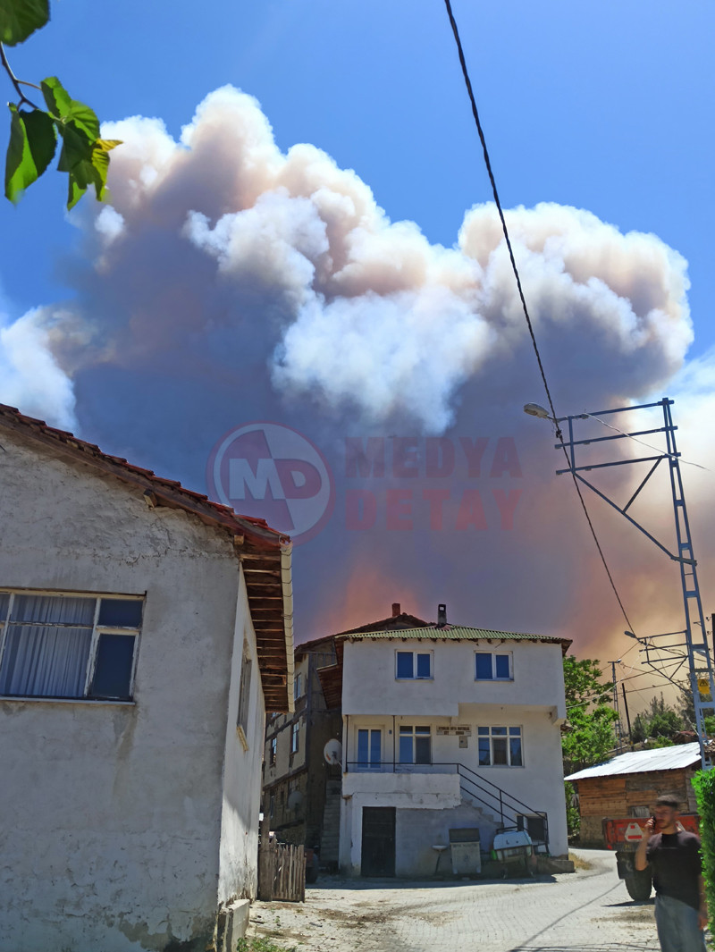 Tarakli Orman Yanginii9