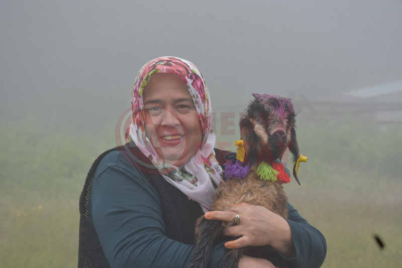 Yayla Gocu7