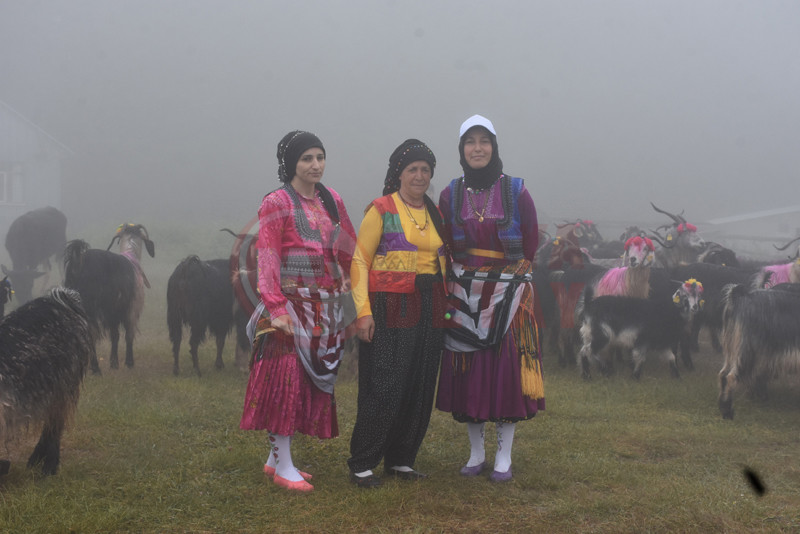 Yayla Gocu9