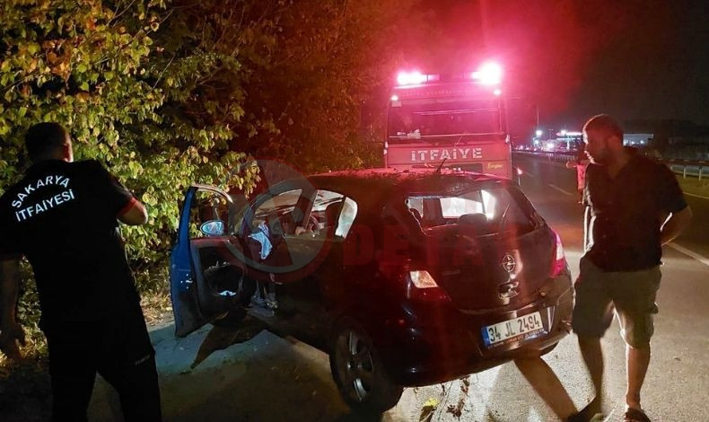 Anne Ve Cocuklari Kazada Yaralandi (4)