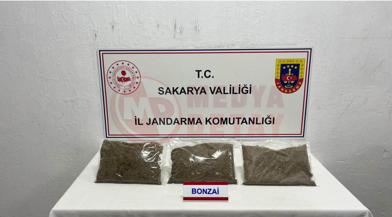 B O N Z A İ-1