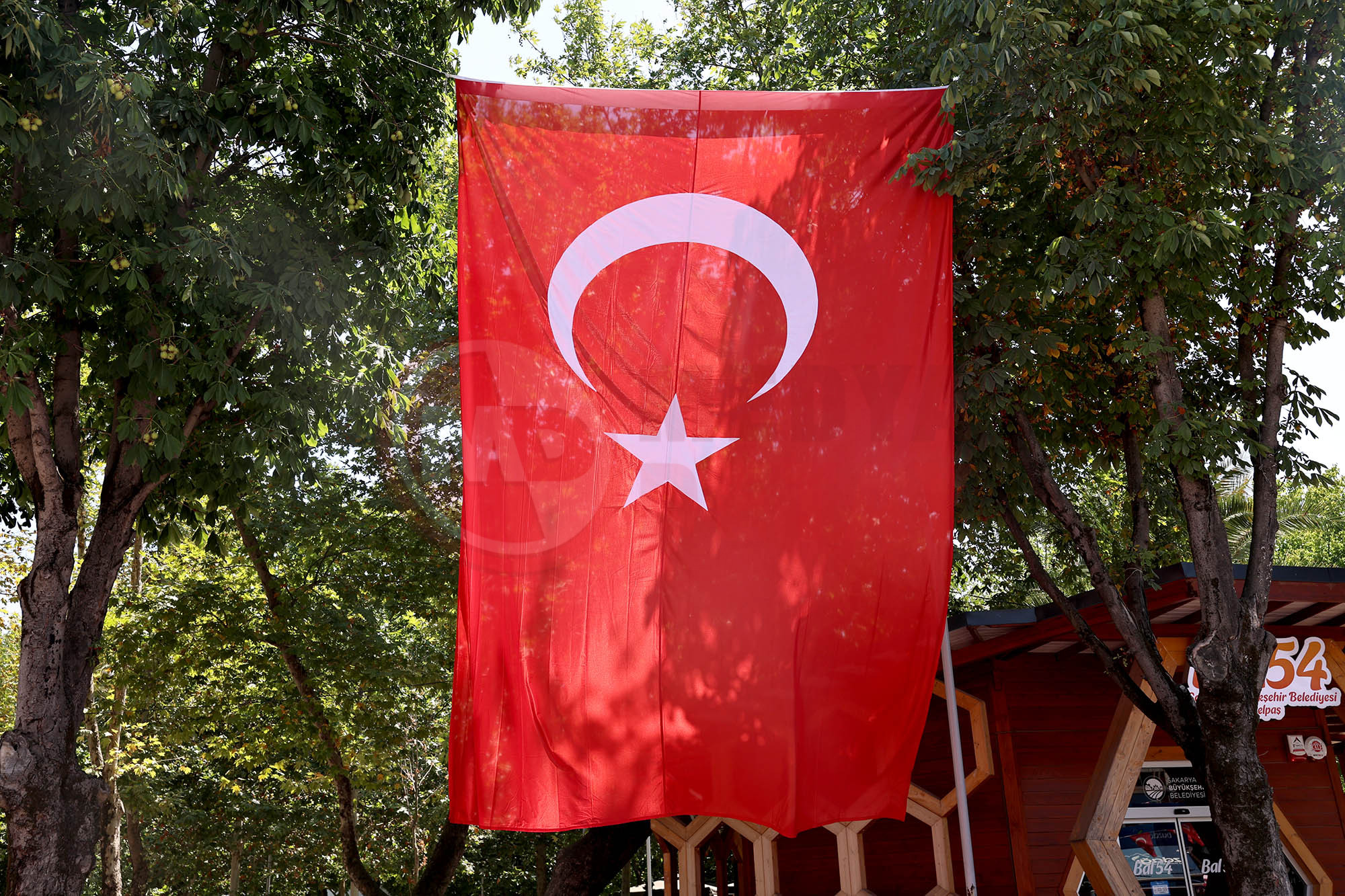 Bayrak (3)