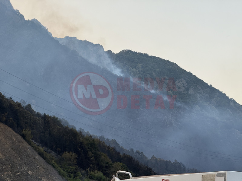 Geyve Orman Yangini Kismen Kontrol Altinda2