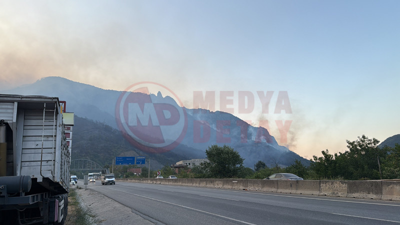 Geyve Orman Yangini Kismen Kontrol Altinda3