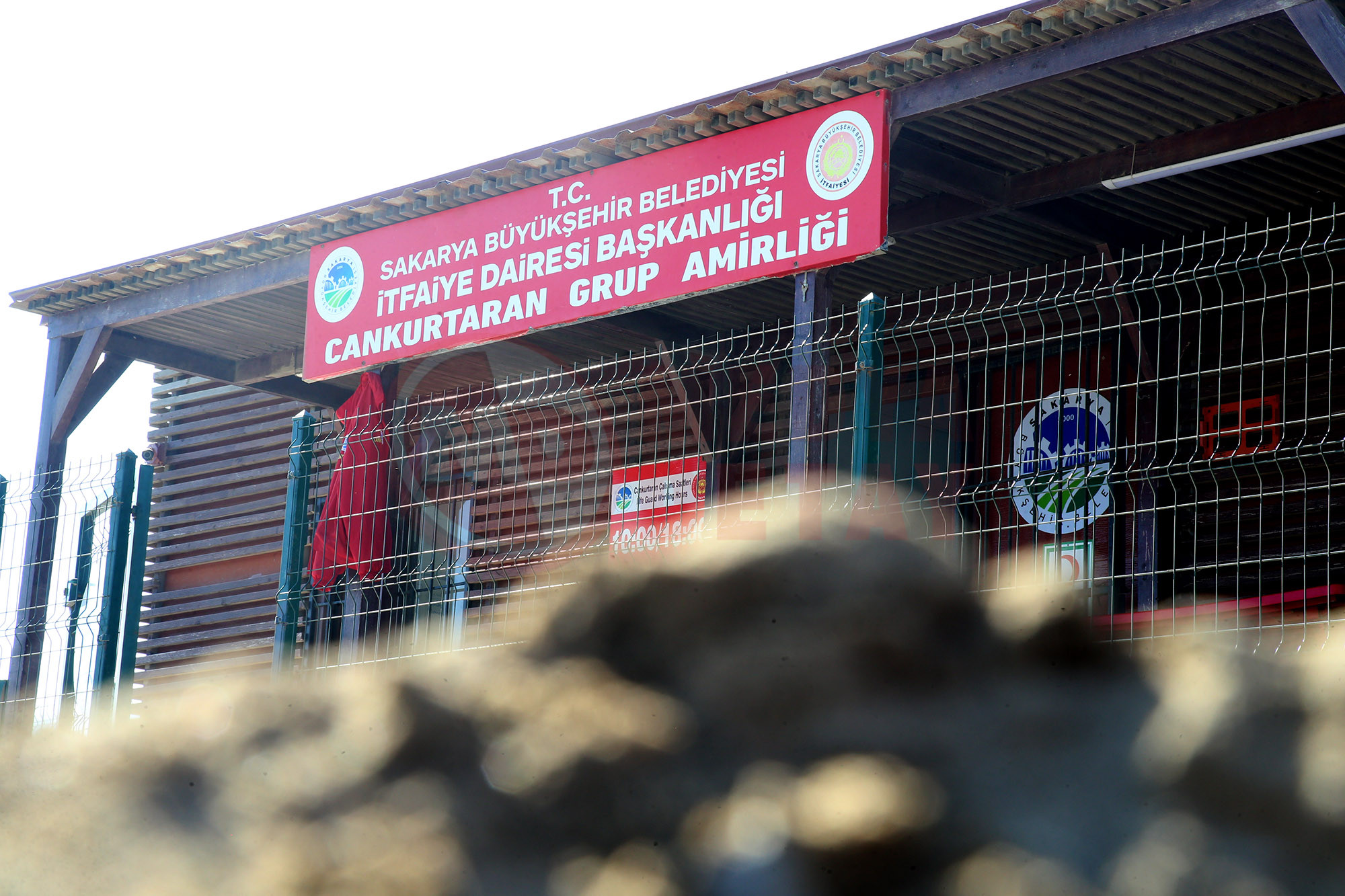 Hyat (3)-1