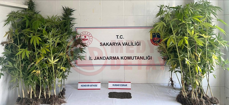 Jandarmadan Uyusturucu Operasyonu3
