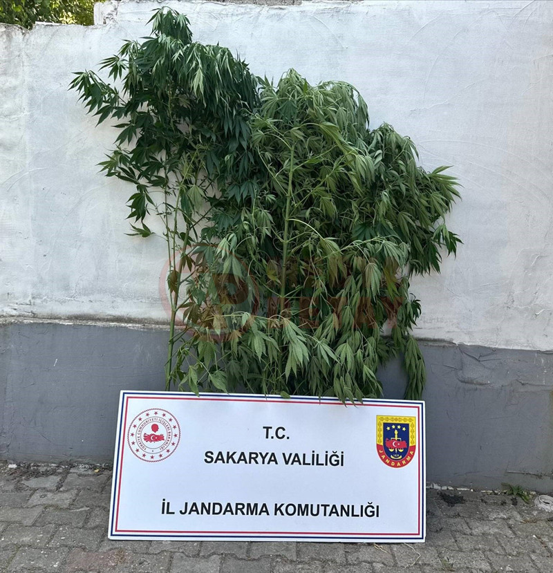 Jandarmadan Uyusturucu Operasyonu4