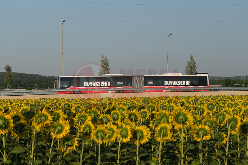 Metrobus Seferleri Basladi3