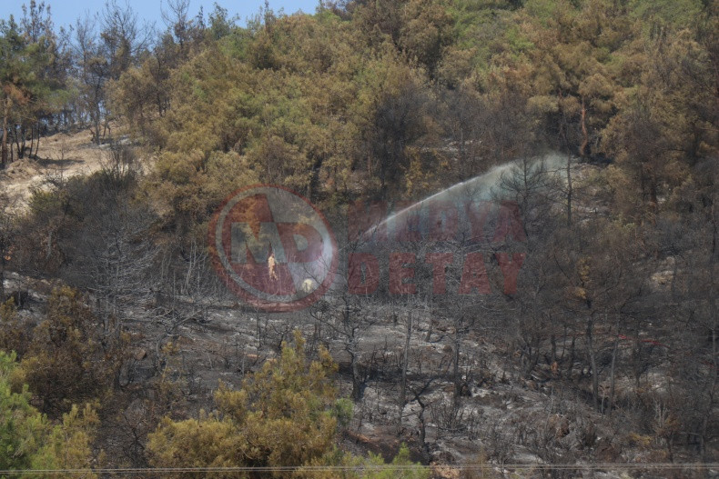Sakarya Bilecik Sinirinda Alevler Yeniden Yukseldi (1)