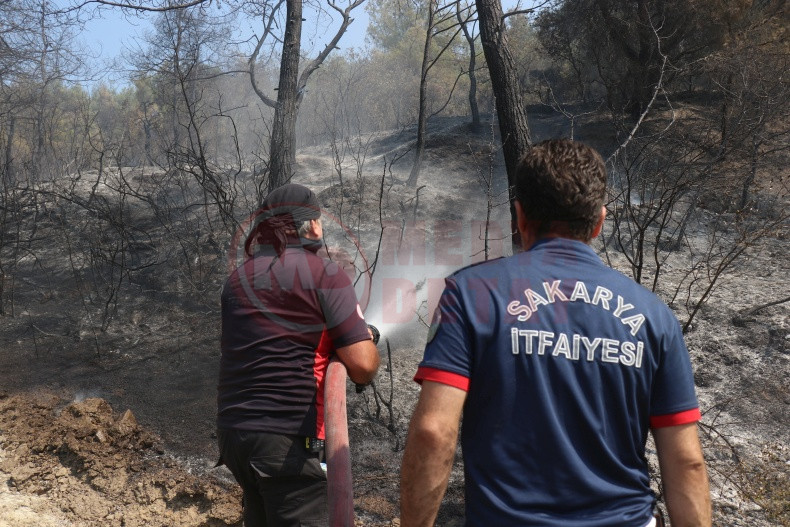 Sakarya Bilecik Sinirinda Alevler Yeniden Yukseldi (2)