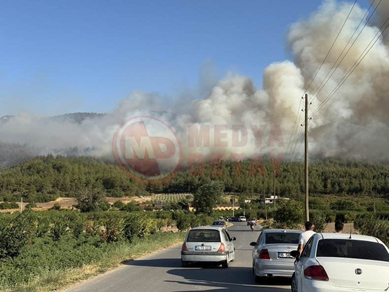 Sakarya Orman Yangini (1)