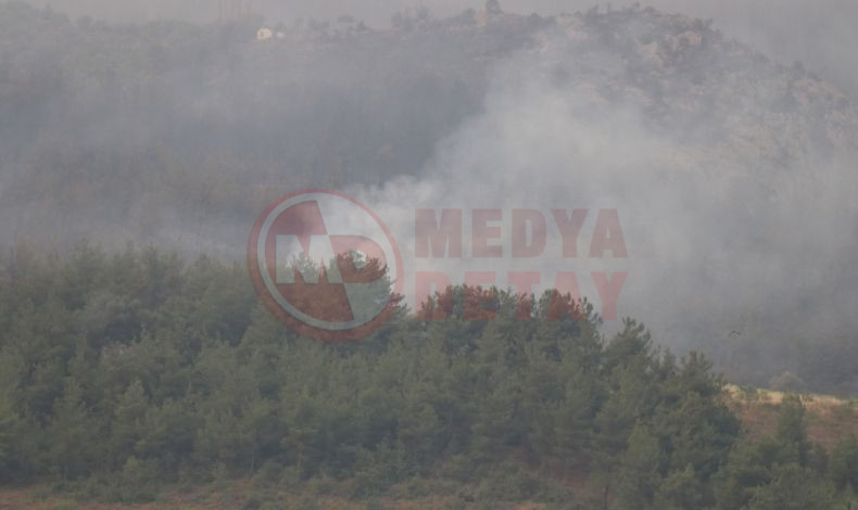 Sakarya Orman Yangini Devam Ediyor (2)