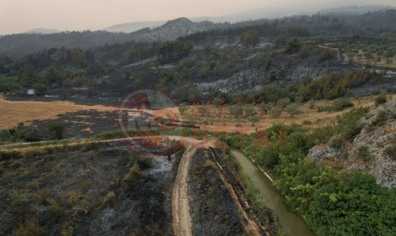 Sakarya Orman Yangini Devam Ediyor (3)