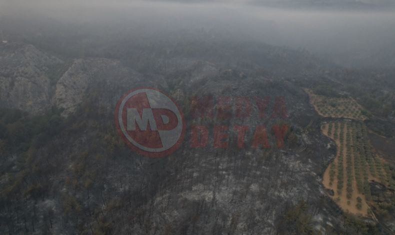 Sakarya Orman Yangini Devam Ediyor (5)