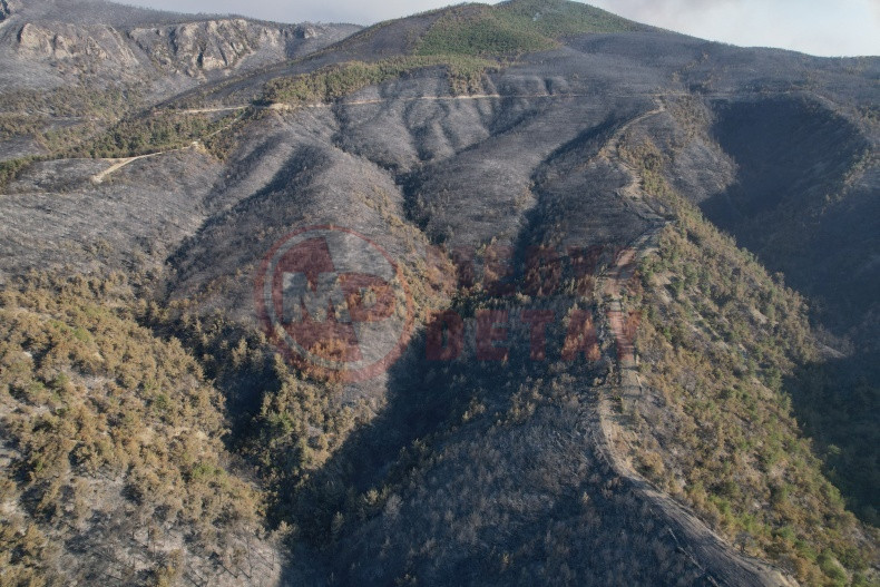 Sakaryadaki Orman Yanginlari (2)-1