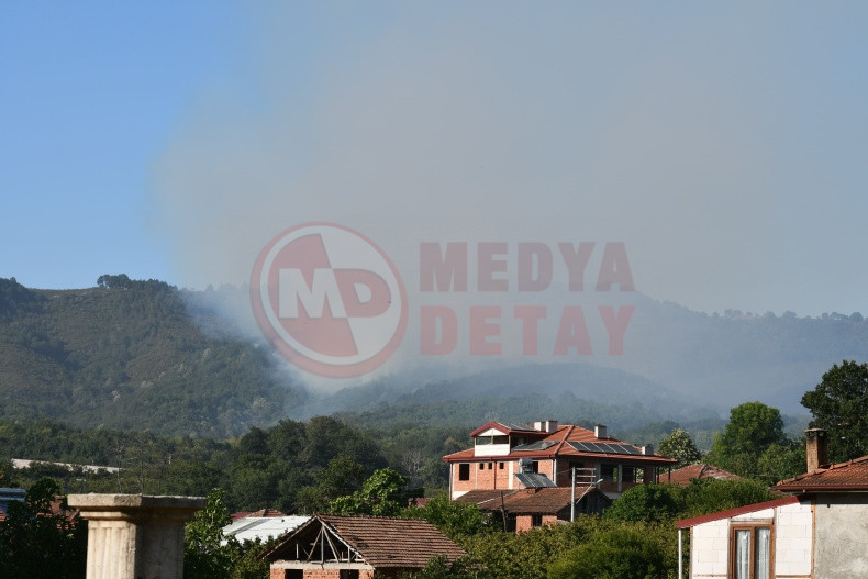 Sakaryadaki Orman Yanginlari (2)