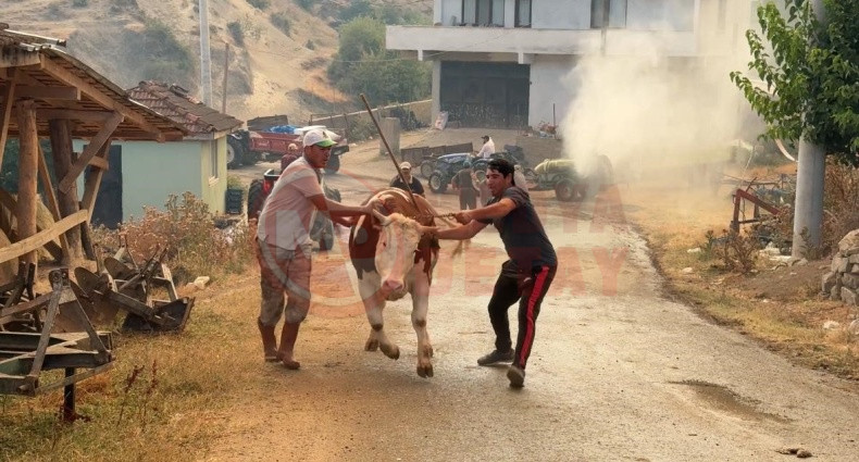 Sakaryadaki Yangin Buyuyor (4)