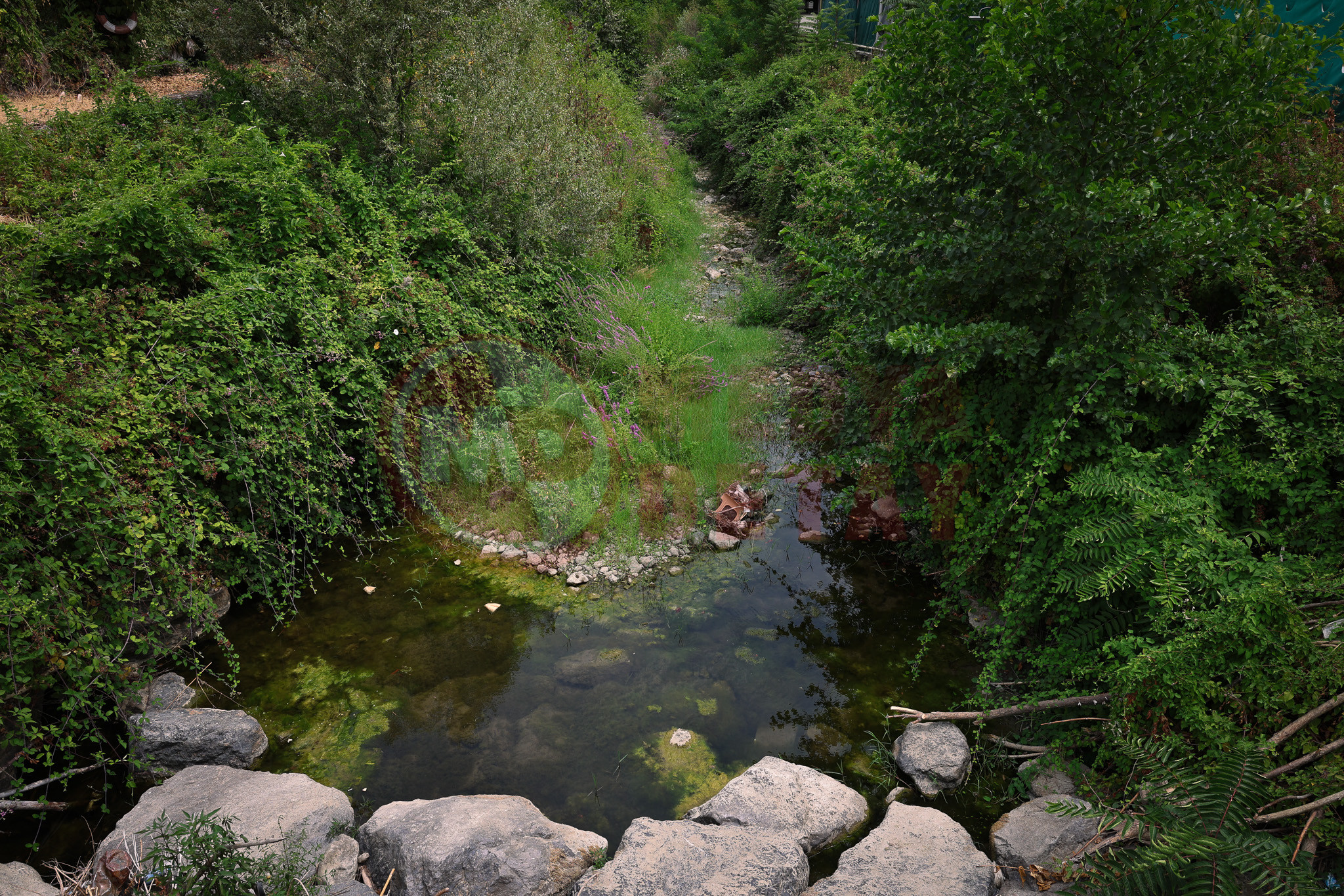 Sapanca (10)-2