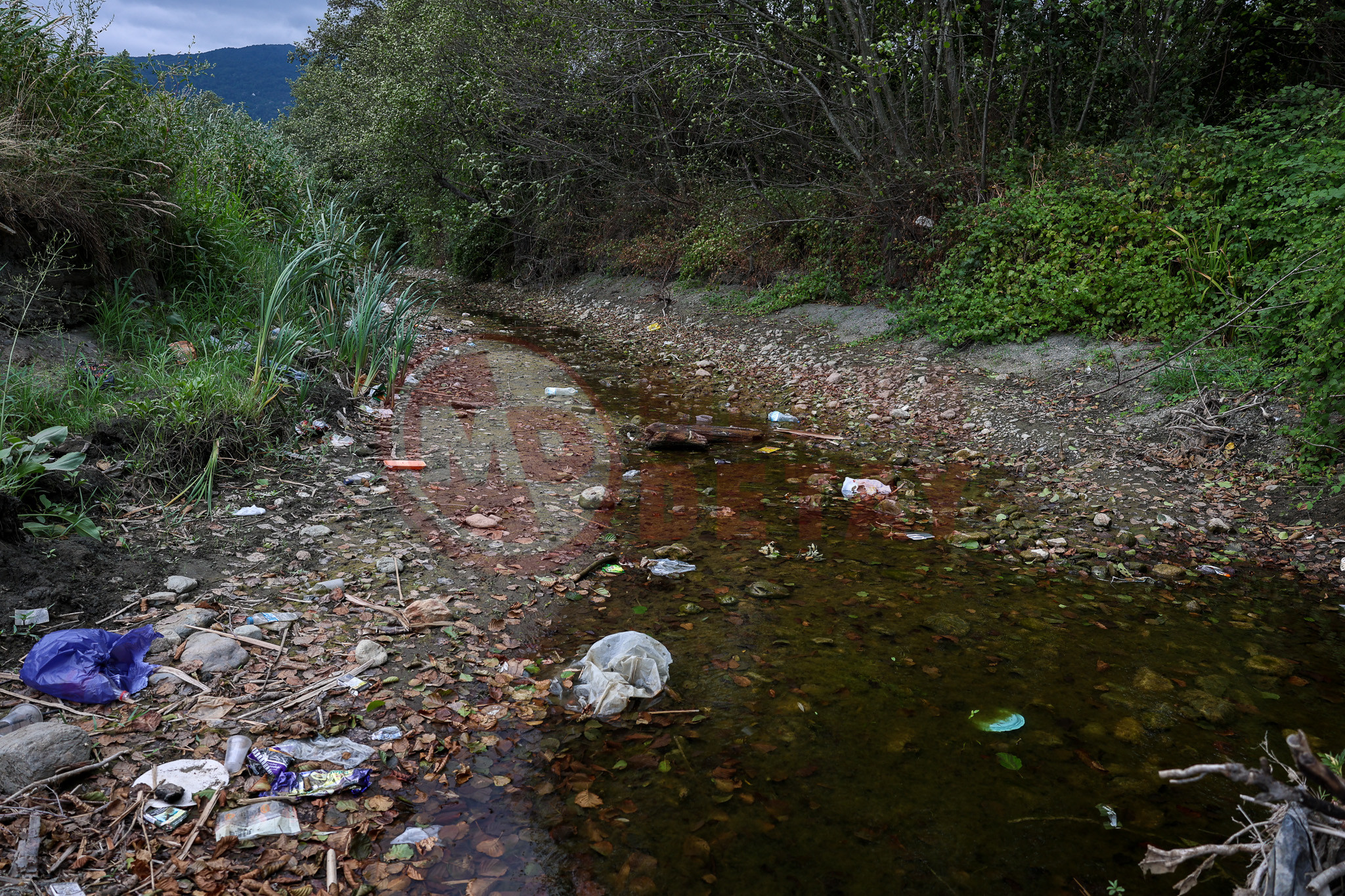 Sapanca (11)
