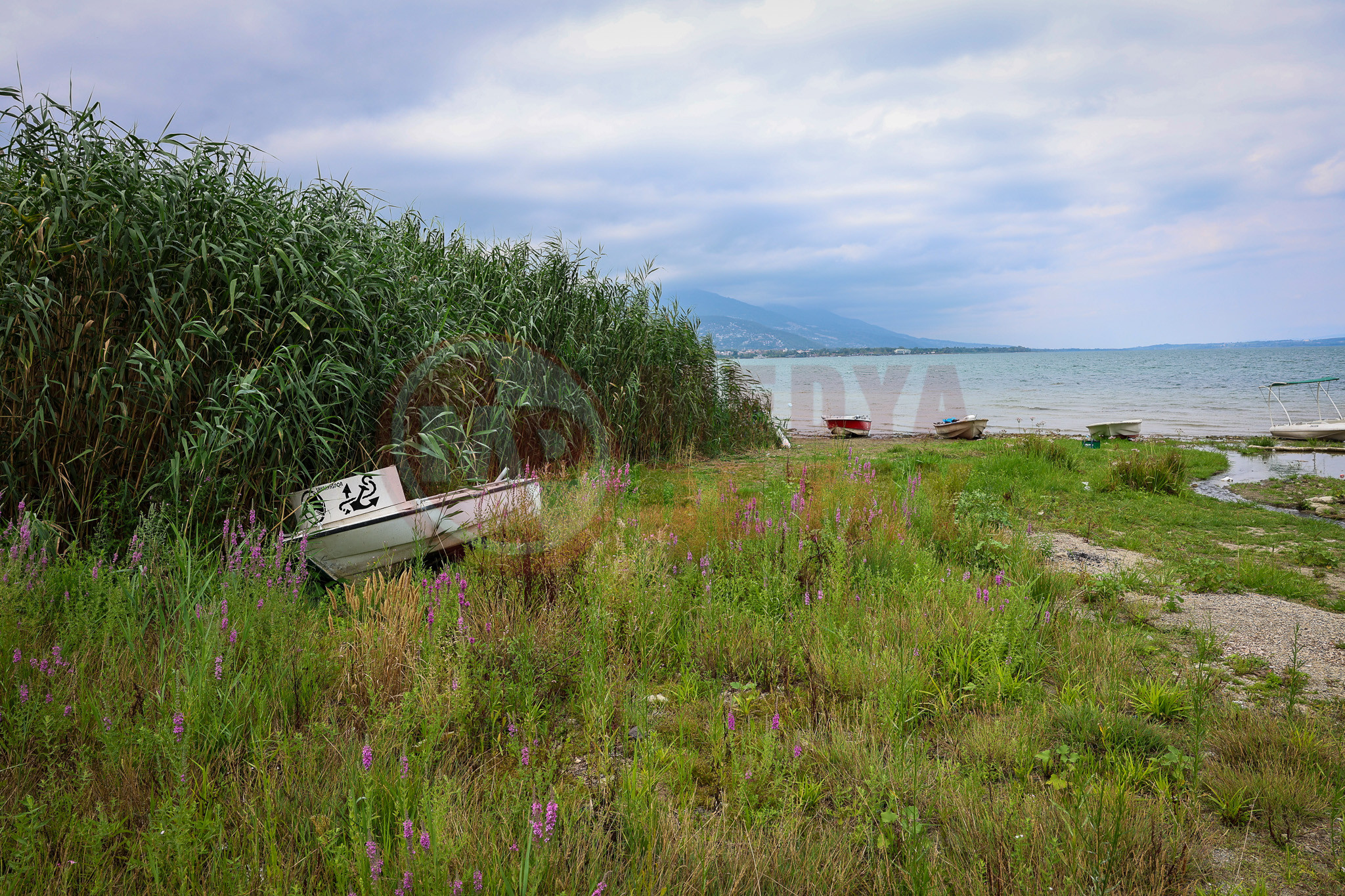 Sapanca (2)-12