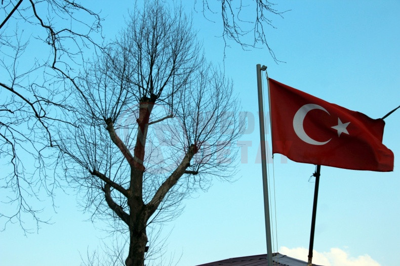 Asirlik Cinar Agaclari Kuruyor (3)