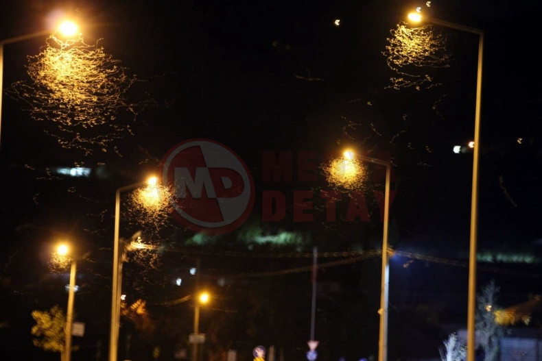 Bir Gun Sinekleri Olum Dansi (4)