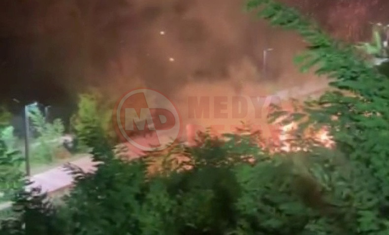 Eglence Icin Yaktilar Ormani Yaktilar (1)