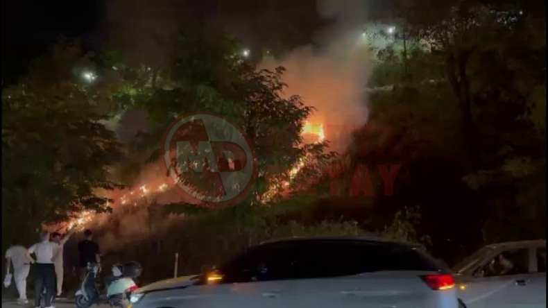 Eglence Icin Yaktilar Ormani Yaktilar (3)