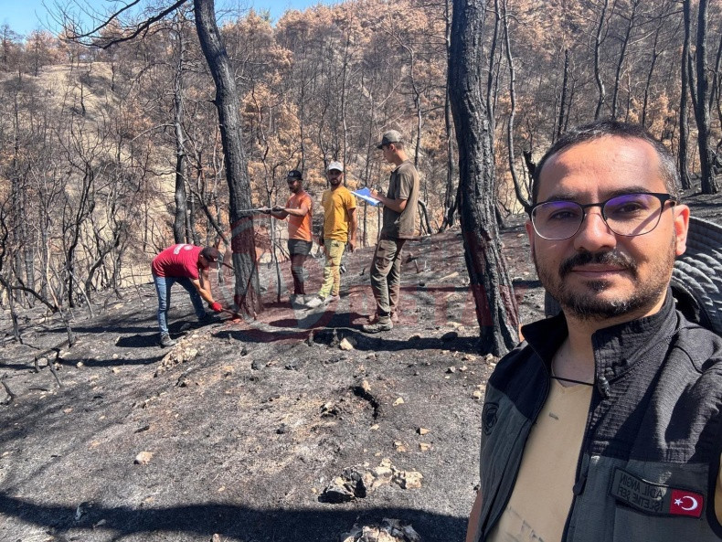 Geyve Yanan Ormanlar Yeniden Yeseriyor (1)