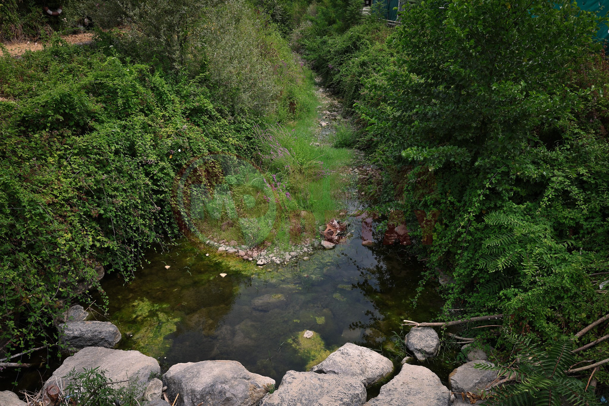 Göl (11)
