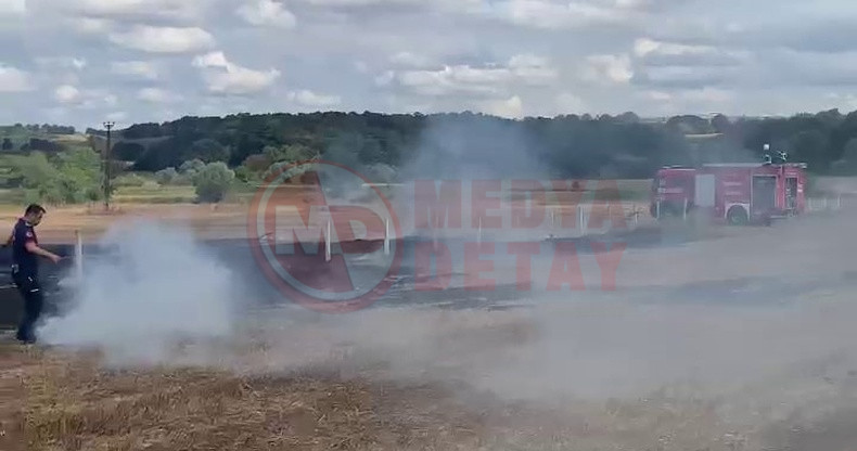 Kaynarca Aniz Yangini (1)