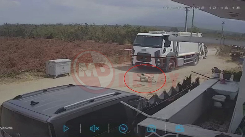 Kopekler Telef Oldu (3)