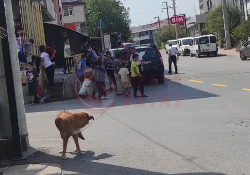 Mahalleyi Temizliyorlar3