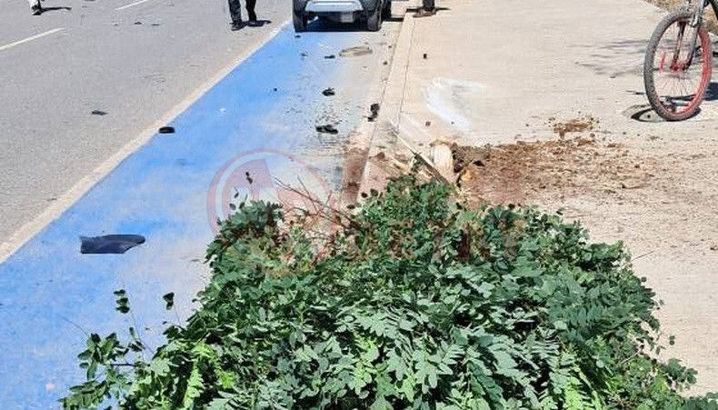 Once Agaca Sonra Aydinlatma Diregine Carpti (2)