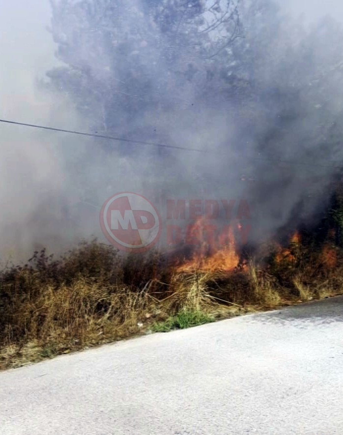 Ormanlik Alanda Korkutan Yangin3