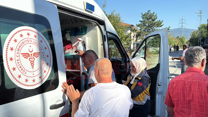 Ormanlik Alanda Korkutan Yangin9