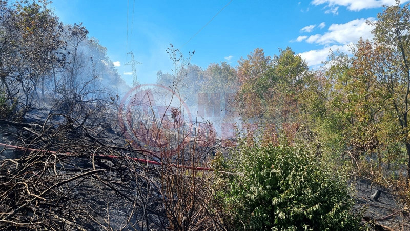 Ormanlik Alanda Yangin3-1