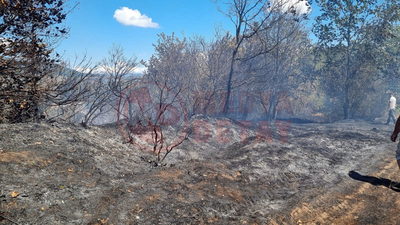 Ormanlik Alanda Yangin4-1