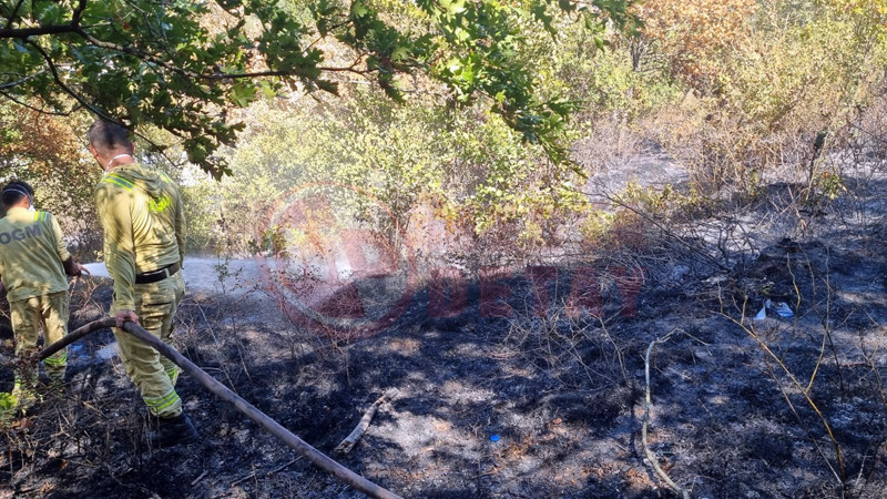 Ormanlik Alanda Yangin5-1