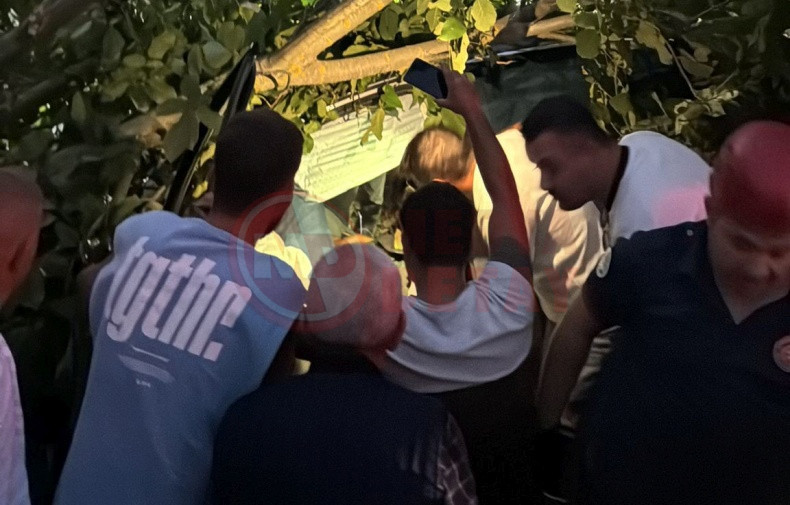 Otomobil Agaclik Alana Grdi (2)