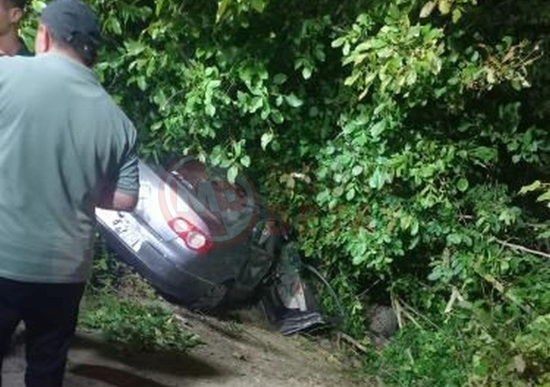 Otomobil Agaclik Alana Grdi (3)