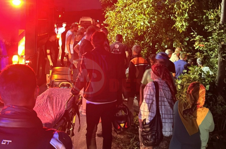 Otomobil Agaclik Alana Grdi (4)