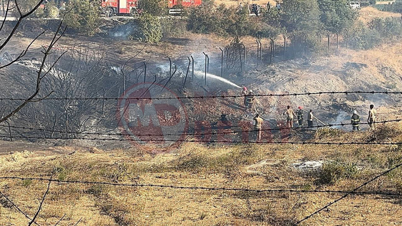 Pamukovada Korkutan Yangin6