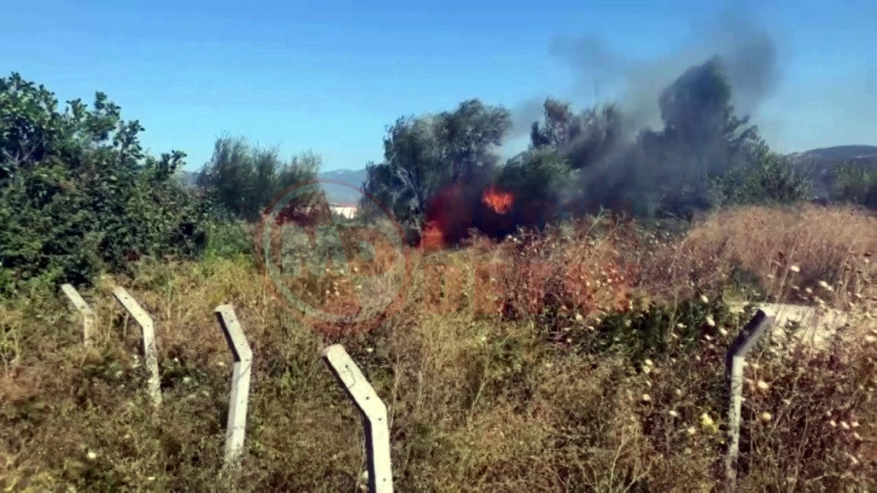 Sakarya Agaclik Alanda Yangin (2)