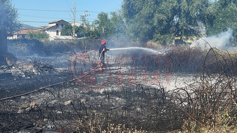 Sakarya Agaclik Alanda Yangin (3)