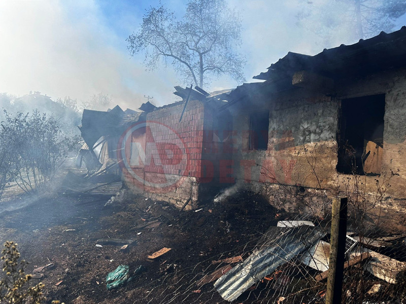 Samanlik Alevlere Teslim Oldu3