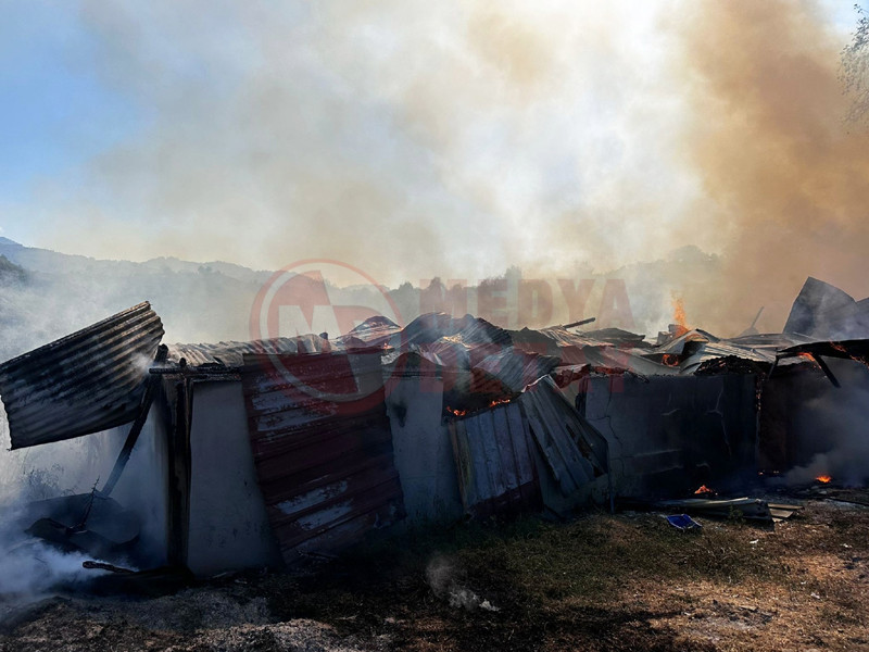 Samanlik Alevlere Teslim Oldu4