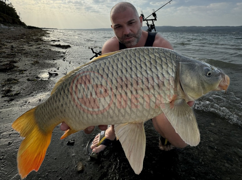 Yakaladigi Sazanlari Geri Saldi (4)