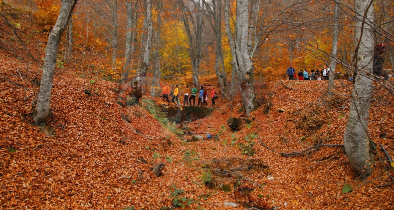 Doga Yuruyusleri Basliyor (3)